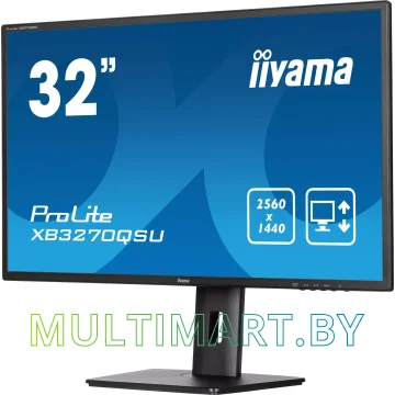 Монитор Iiyama ProLite XB3270QSU-B1 картинка 5